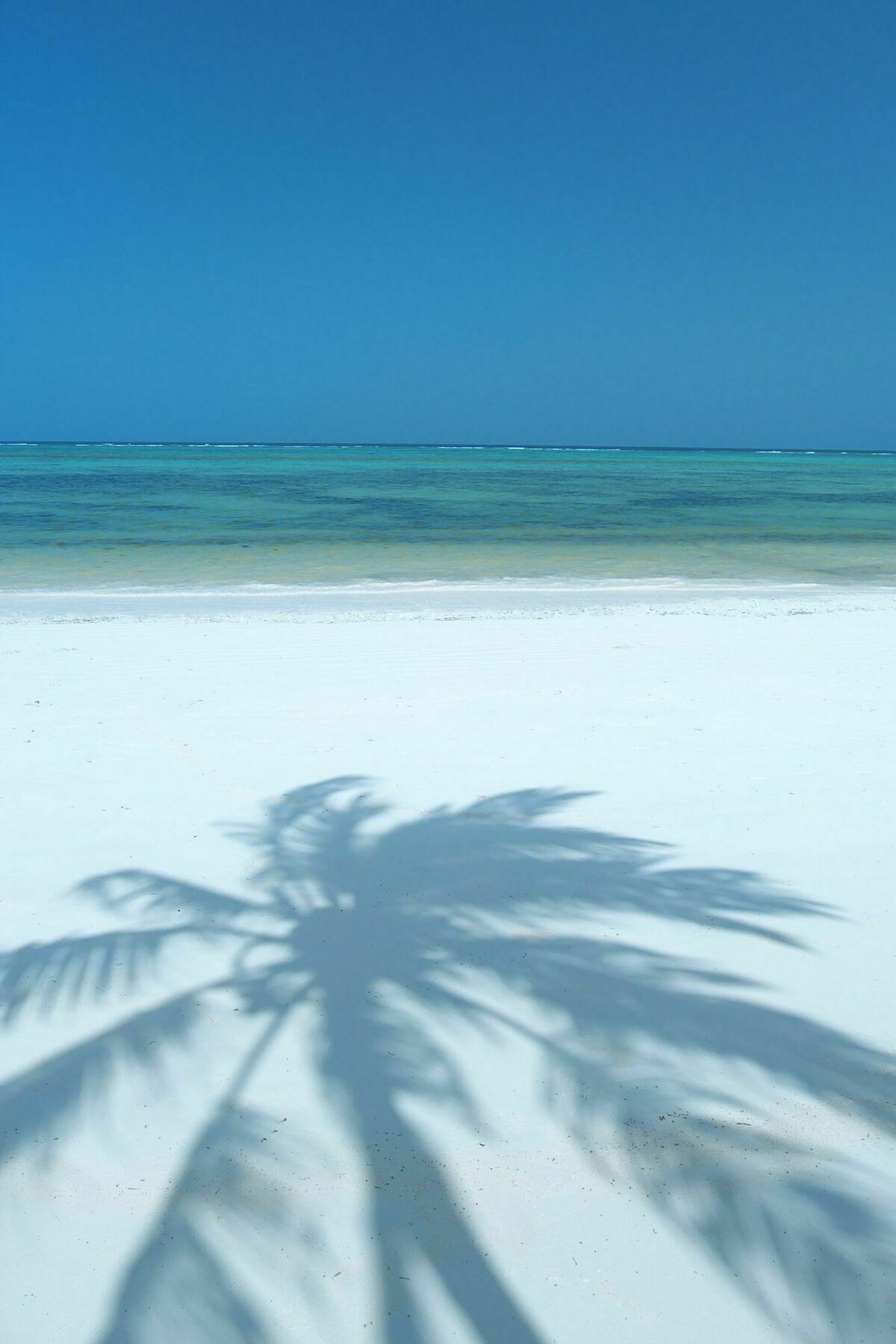 Resort The Palms Zanzibar